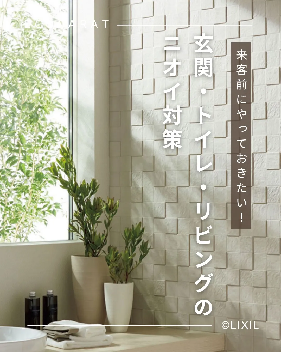 他の投稿を見る▽